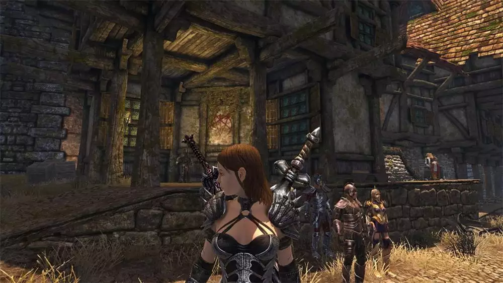 神界2：龙裔 v1.03简体中文D5完整版