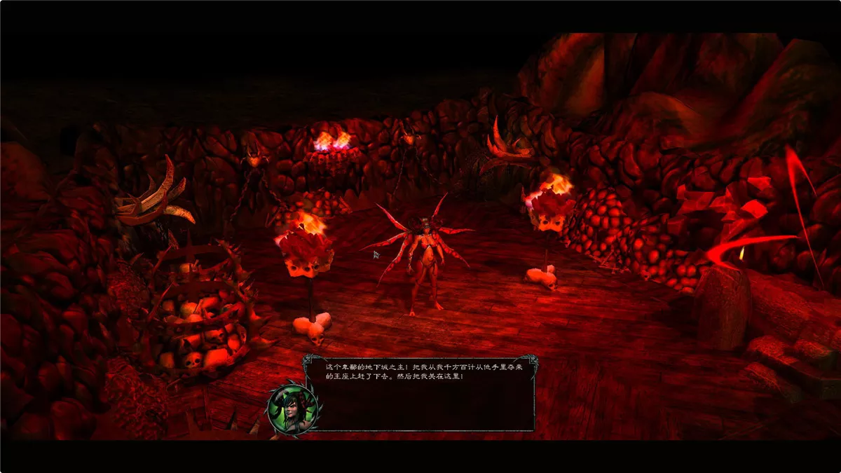 地下城：黑暗领主 中英文完整硬盘版