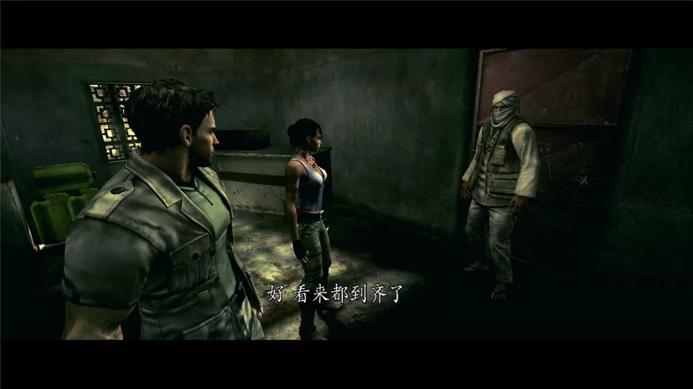 生化危机5 简体中文D5完美版