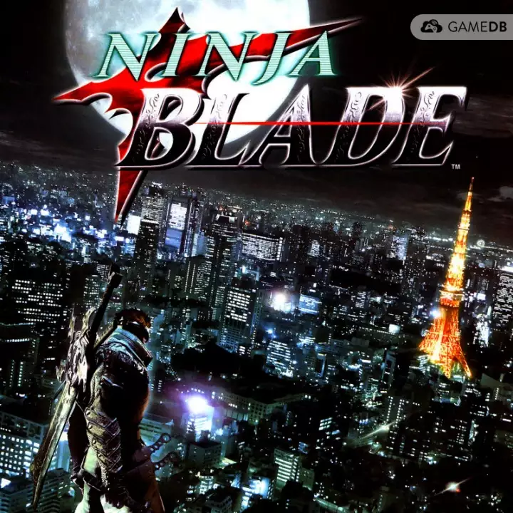 忍者之刃 官方繁体中文D5完整版