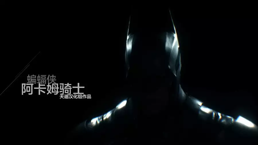 蝙蝠侠:阿卡姆骑士 | 全DLC中英文CPY高级重制版