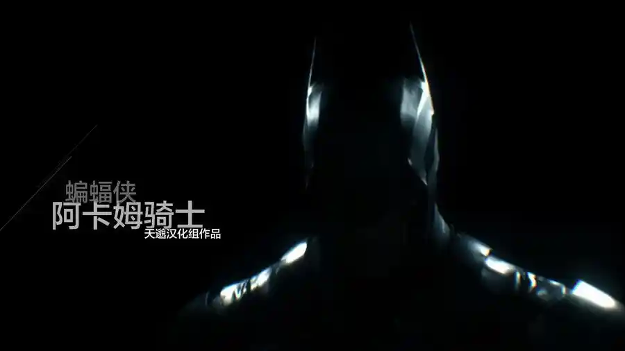 蝙蝠侠：阿卡姆骑士 | 全DLC中英文CPY高级重制版